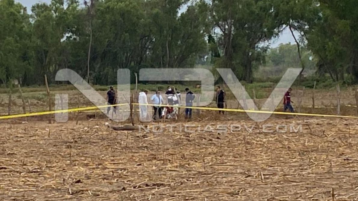 seguridad bahia 10543