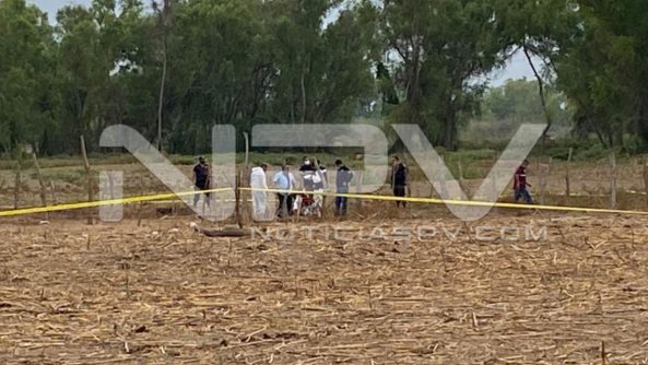 seguridad bahia 10543