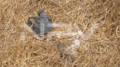 seguridad bahia 10544