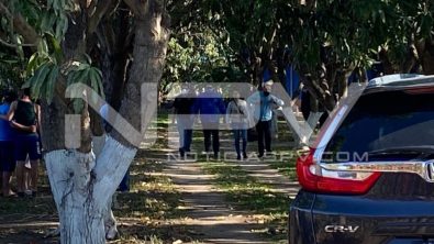 seguridad bahia 11321