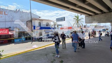 seguridad bahia 11703