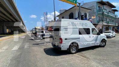 seguridad bahia 11708