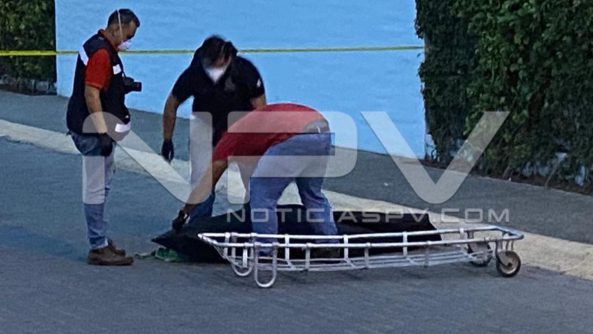 seguridad bahia 12137