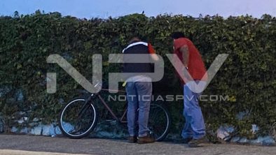 seguridad bahia 12138