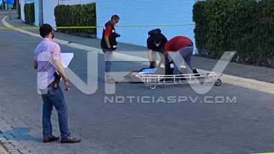 seguridad bahia 12140