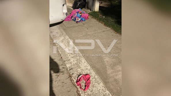 seguridad bahia 12168