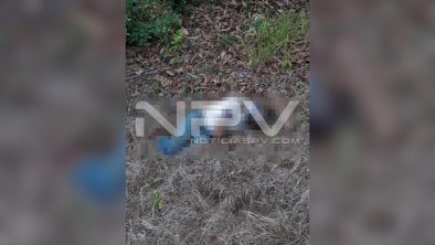 seguridad bahia 9537