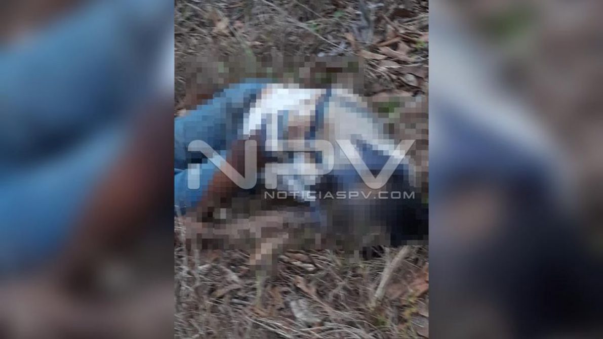 seguridad bahia 9539