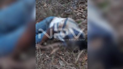 seguridad bahia 9539