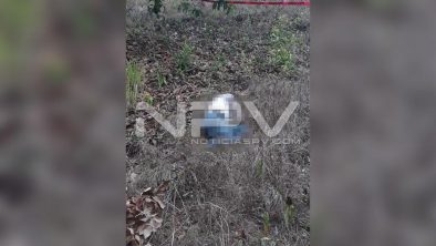 seguridad bahia 9540