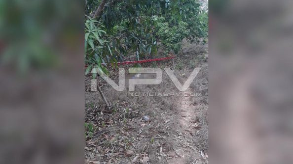 seguridad bahia 9542