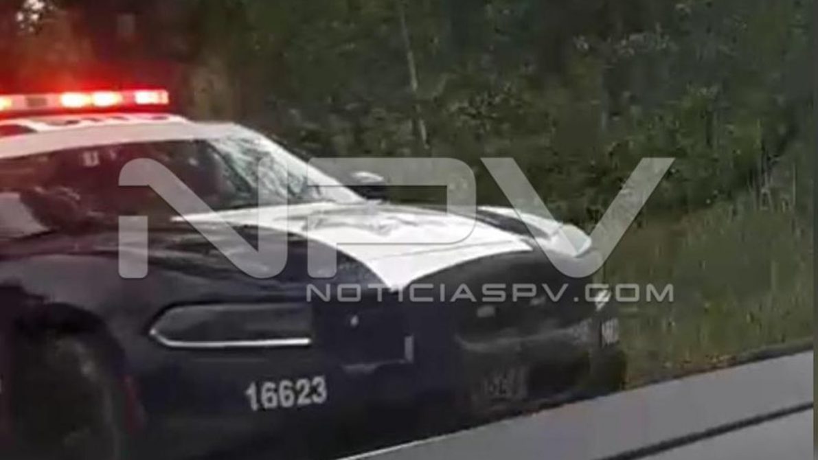 seguridad bahia 9579