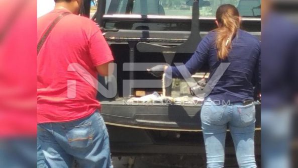 seguridad bahia 9831