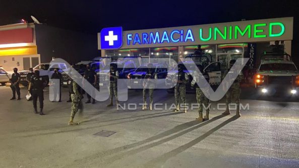 seguridad 13115