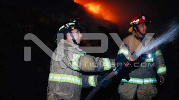seguridad 13267