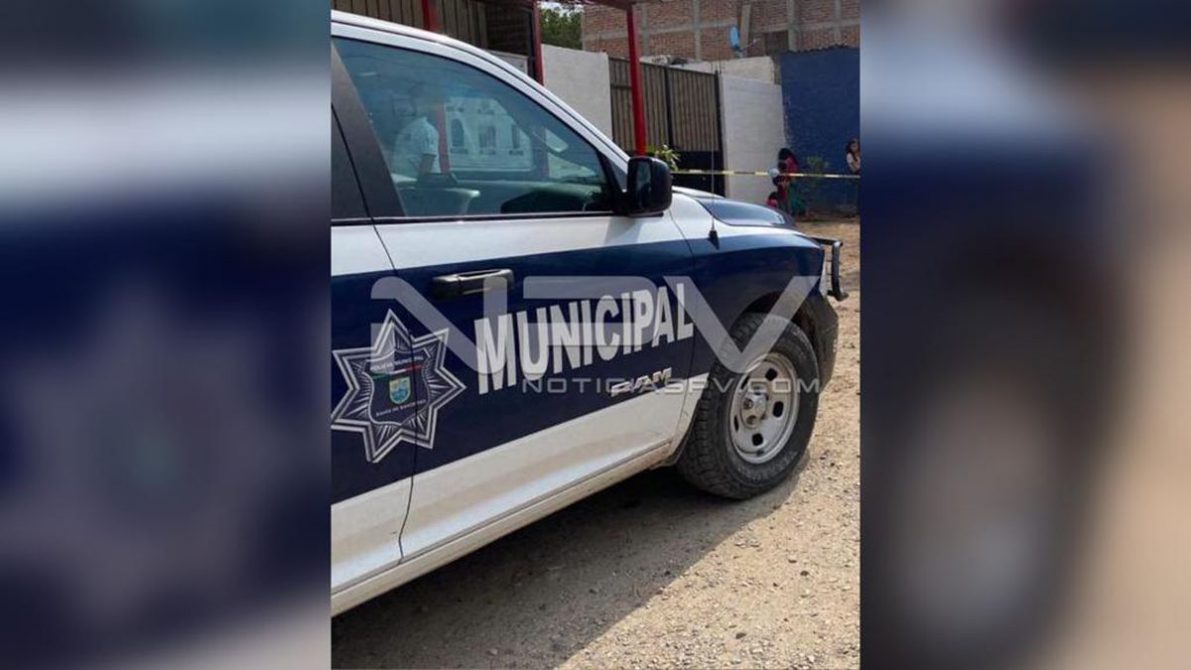 seguridad 14597
