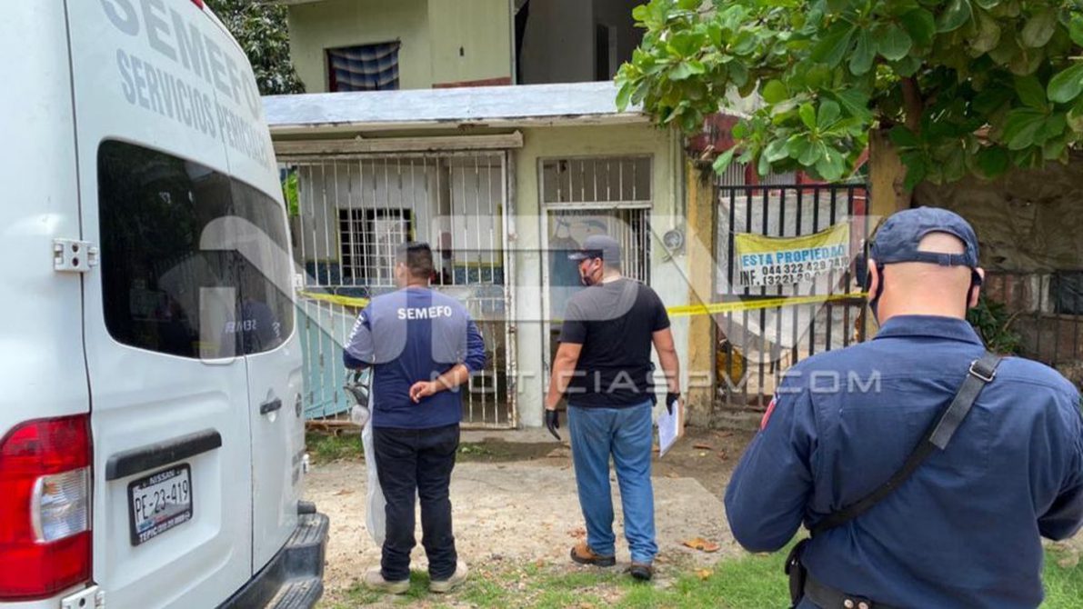 seguridad 15541