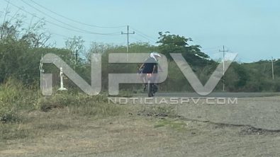 seguridad bahia 12580