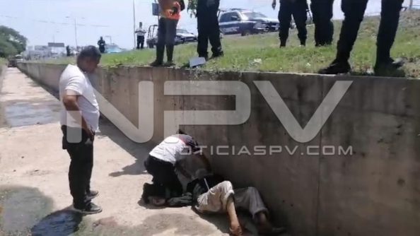seguridad bahia 12861