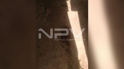 seguridad bahia 12876