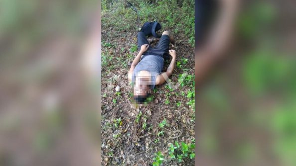 seguridad bahia 12974