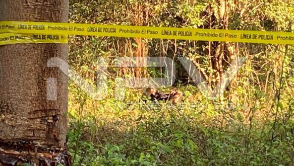 seguridad bahia 12981