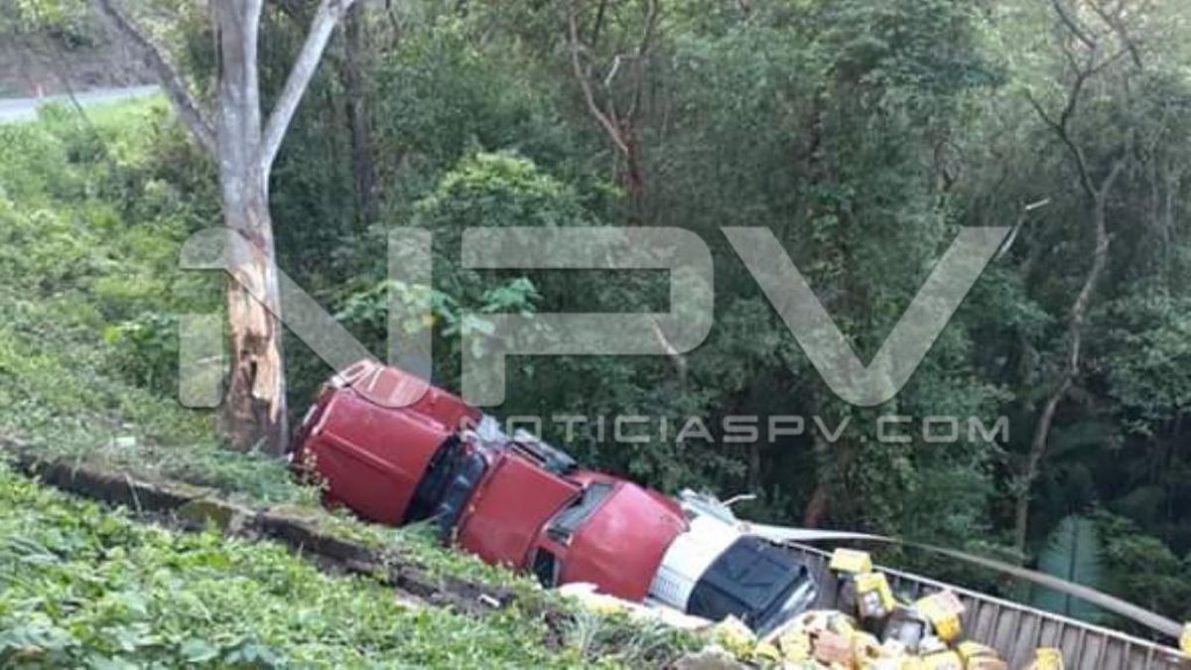 seguridad bahia 14242