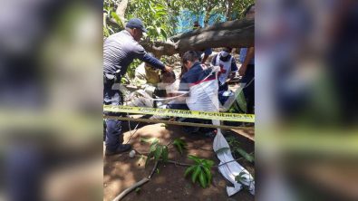 seguridad bahia 14701