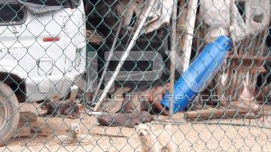 seguridad bahia 14913