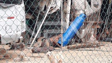 seguridad bahia 14915