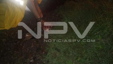 seguridad bahia 15097