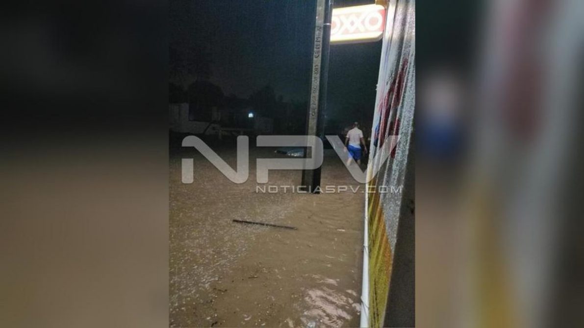 WhatsApp Image 2020-08-27 at 11.35.27 AM (1)