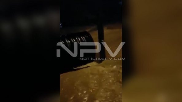 WhatsApp Image 2020-08-27 at 11.35.27 AM