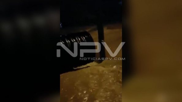 WhatsApp Image 2020-08-27 at 11.35.27 AM