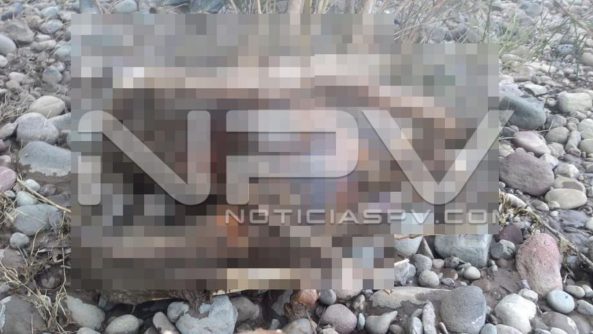 seguridad bahia 15722