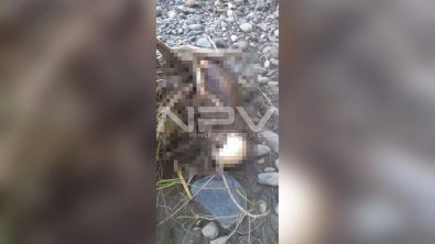 seguridad bahia 15723