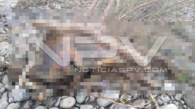 seguridad bahia 15724