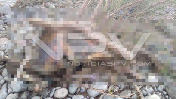 seguridad bahia 15724