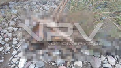 seguridad bahia 15725