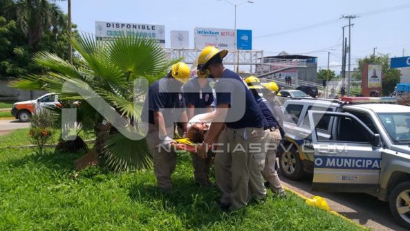 seguridad bahia 15817