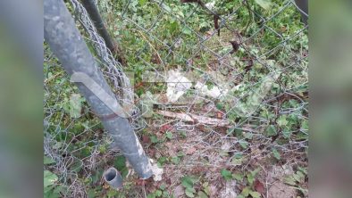 seguridad bahia 16124