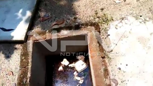 seguridad bahia 16125