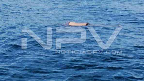 seguridad bahia 16448