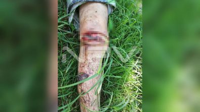 seguridad bahia 16599