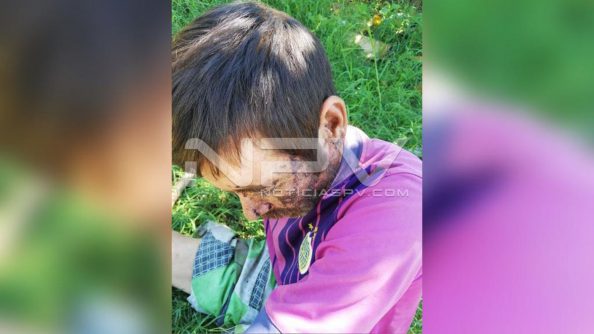 seguridad bahia 16600