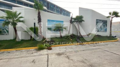 seguridad bahia 16784