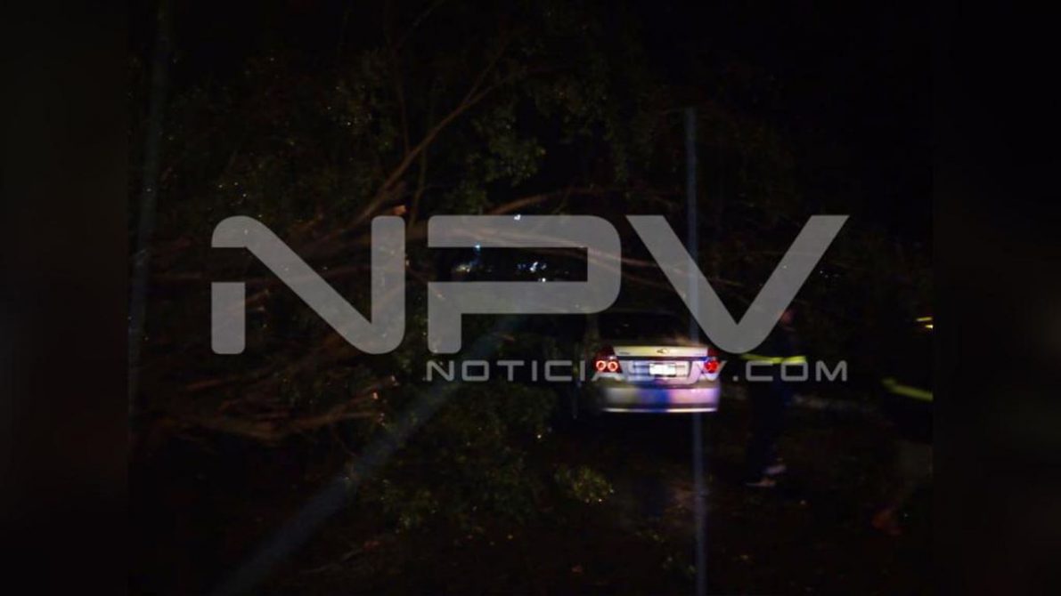 seguridad bahia 17330