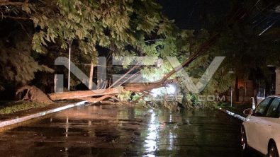 seguridad bahia 17331