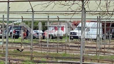 seguridad bahia 17473