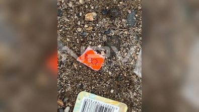 seguridad bahia 18165